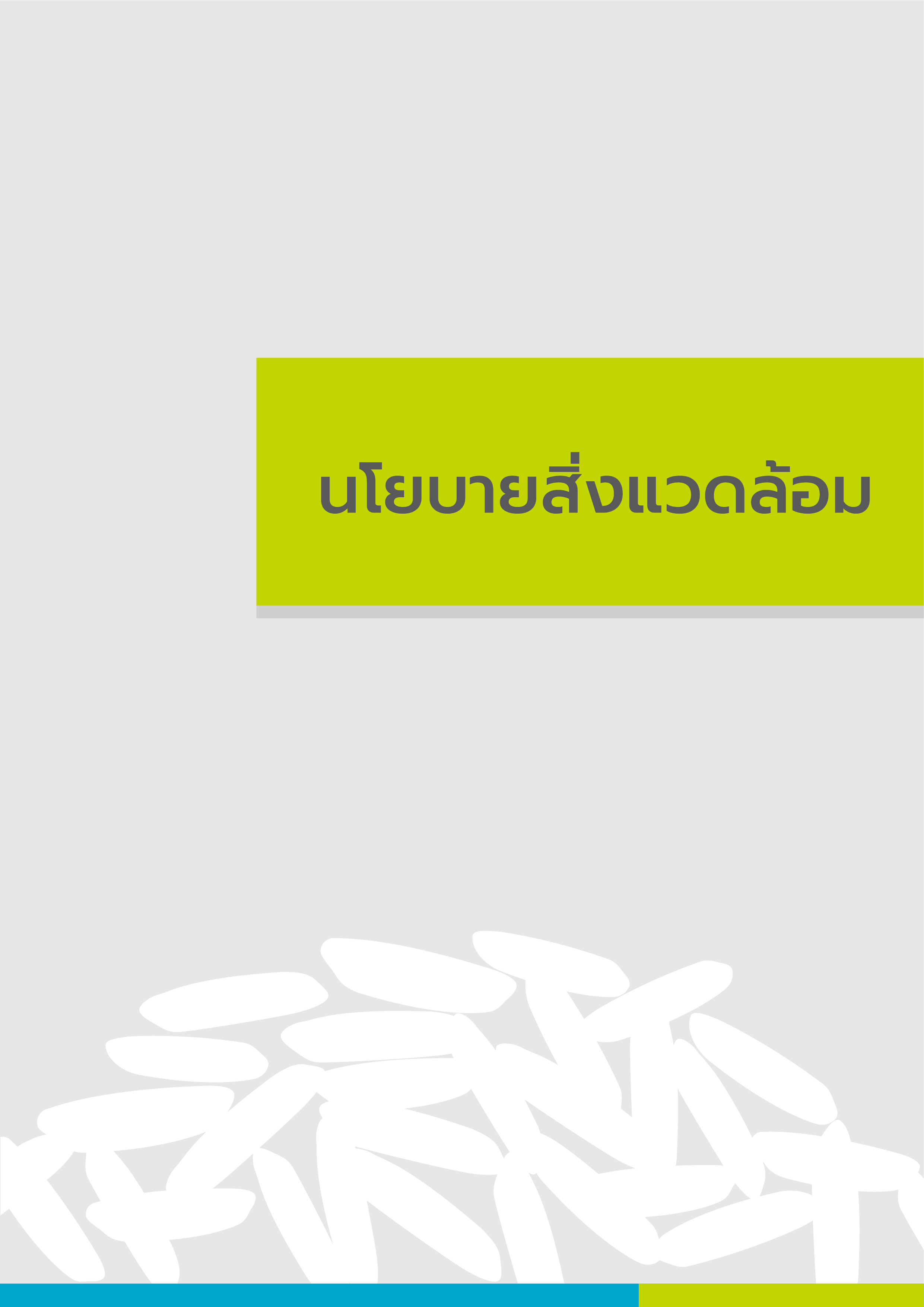 นโยบายสิ่งแวดล้อม